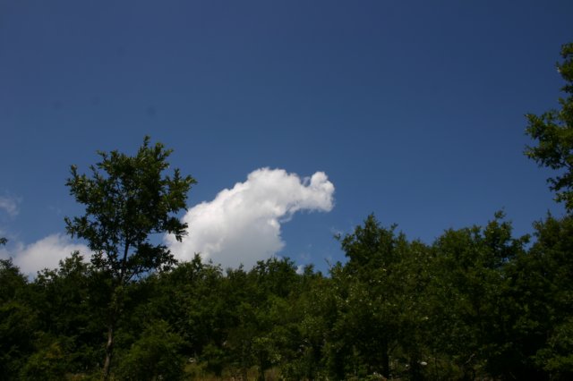 tappa050.jpg