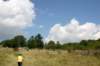 tappa0532_small.jpg