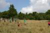 tappa0552_small.jpg
