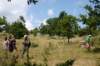 tappa0582_small.jpg