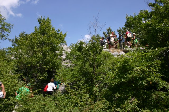 tappa0662.jpg