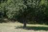 tappa046_small.jpg