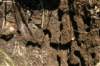 tappa051_small.jpg