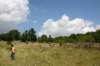 tappa054_small.jpg