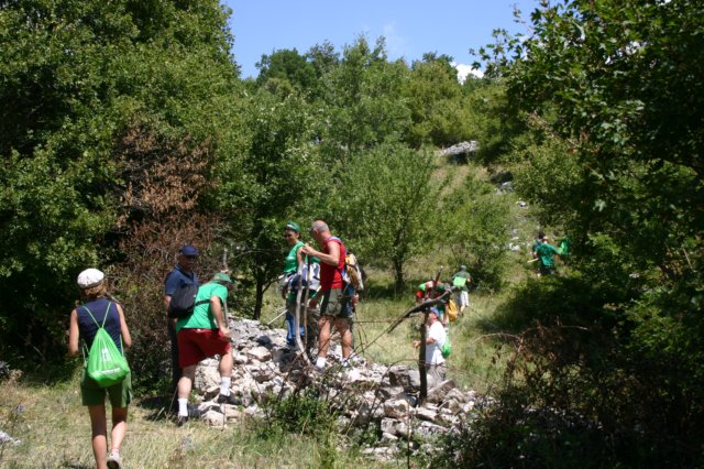 tappa060.jpg