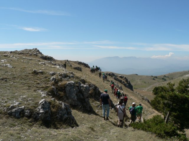 cammina2011fotobyzerbesi72.jpg
