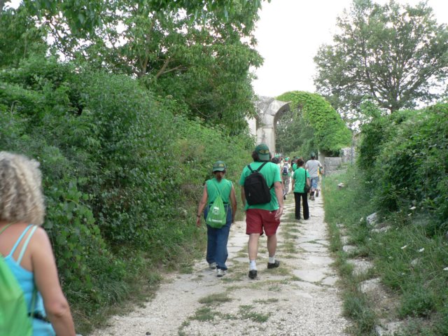 cammina2011fotobyzerbesi263.jpg