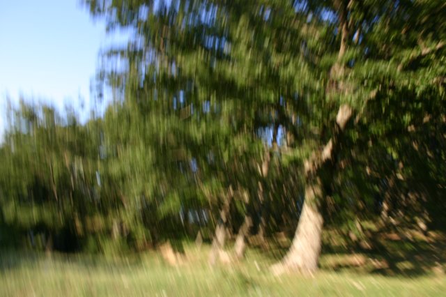 img_3484.jpg