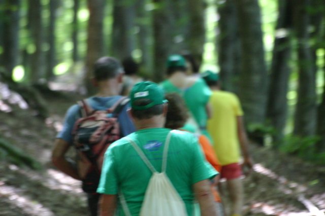 img_3436.jpg