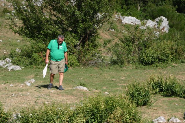 img_3446.jpg