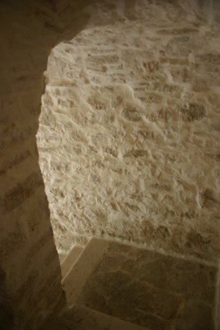 img_3555.jpg