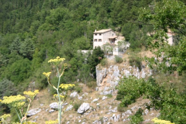 img_3525.jpg