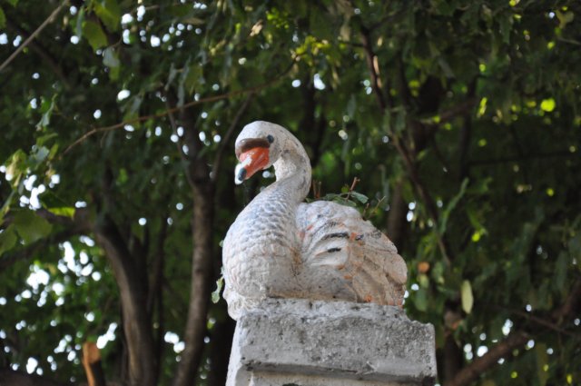 dsc_0242.jpg