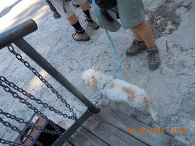 dscn3983.jpg