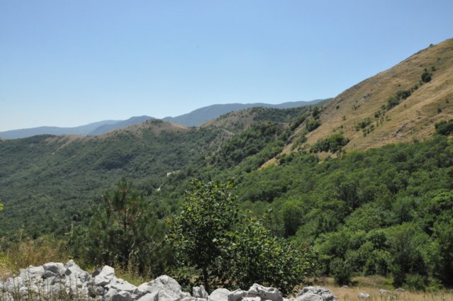 dsc_0258.jpg