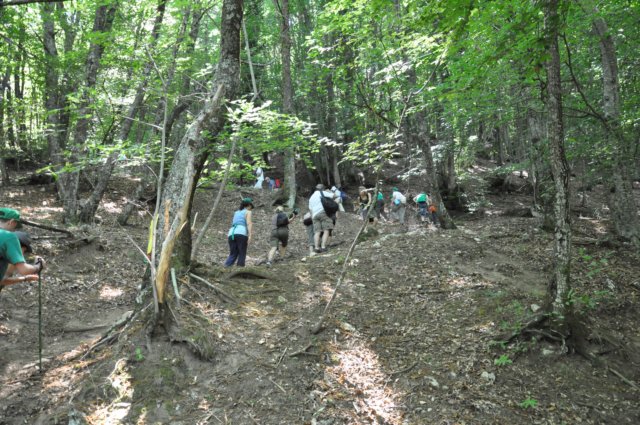 dsc_0274.jpg