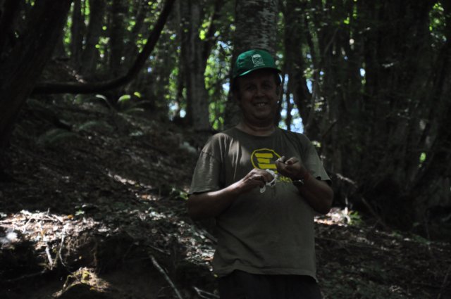 dsc_0278.jpg