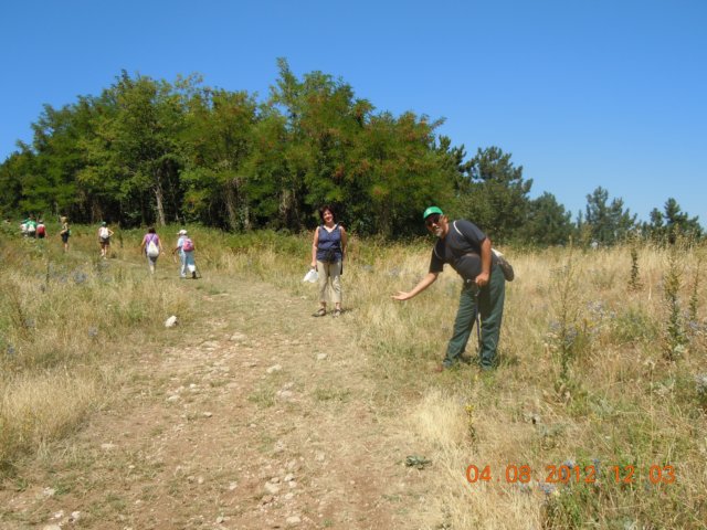 dscn3992.jpg