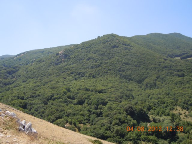 dscn3996.jpg