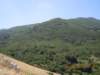 dscn3996_small.jpg