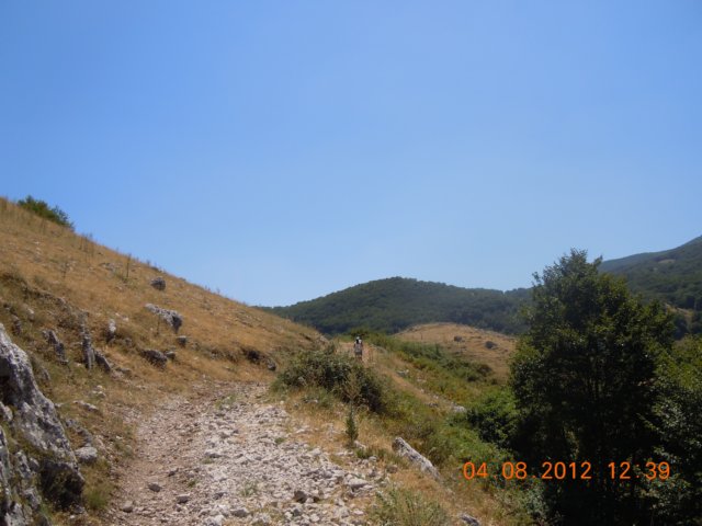 dscn3997.jpg