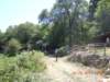 dscn4000_small.jpg