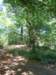 dscn4006_small.jpg