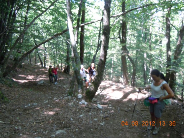 dscn4008.jpg