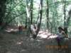 dscn4008_small.jpg
