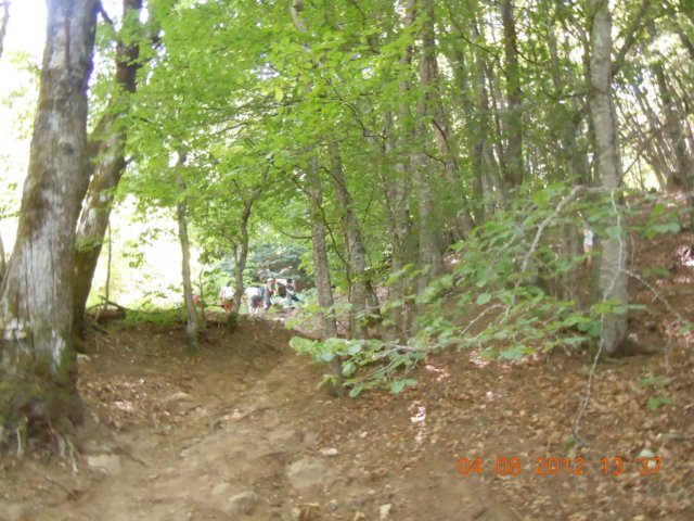 dscn4009.jpg