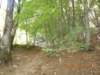dscn4009_small.jpg