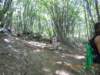 dscn4011_small.jpg