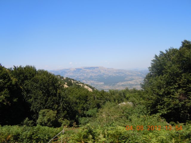 dscn4014.jpg