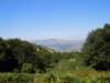 dscn4014_small.jpg