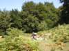 dscn4015_small.jpg