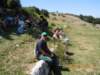 dscn4022_small.jpg