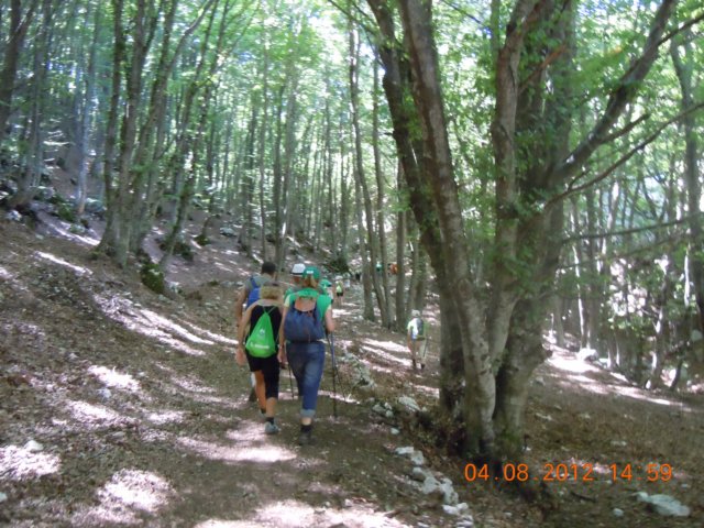 dscn4057.jpg