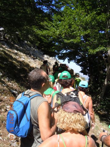 dscn4061.jpg
