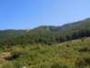 dscn4063_small.jpg