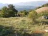 dscn4068_small.jpg