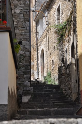 dsc_0356.jpg