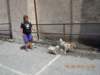 dscn4127_small.jpg